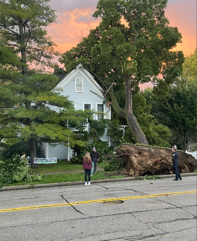 Wind Damage from Sunday, September 25th Thunderstorms